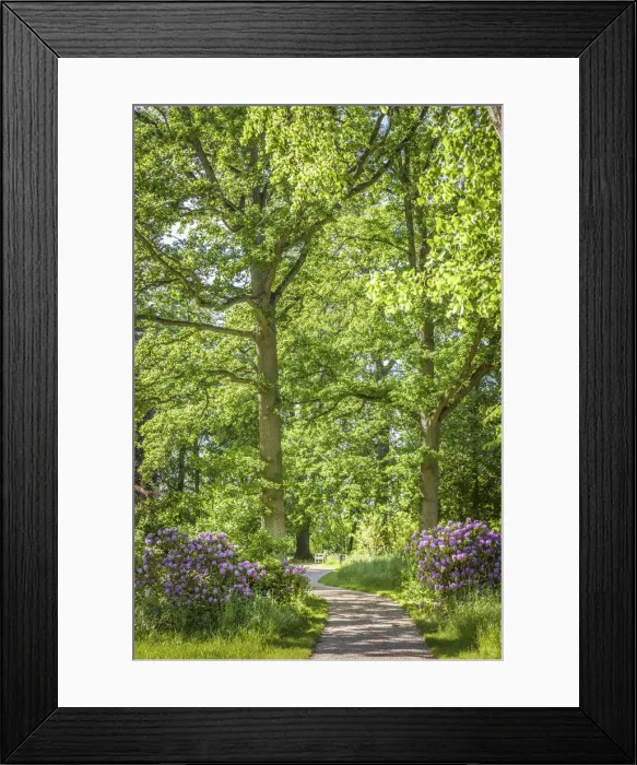 Framed Print : Park of Bothmer Castle in Klütz, Mecklenburg-Western Pomerania, Northern Germany, Germany Framed Print : Park of Bothmer Castle in Klütz, Mecklenburg-Western Pomerania, Northern Germany, Germany