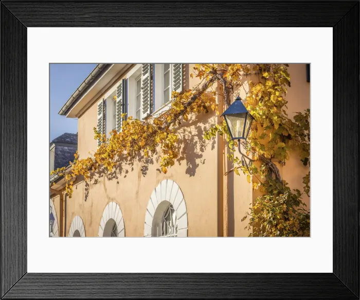 Framed Print : Autumn mood at Johannisberg Castle, Rheingau, Hesse, Germany Framed Print : Autumn mood at Johannisberg Castle, Rheingau, Hesse, Germany