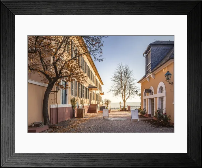 Framed Print : Autumn afternoon at the viewing terrace of Johannisberg Castle, Rheingau, Hesse, Germany