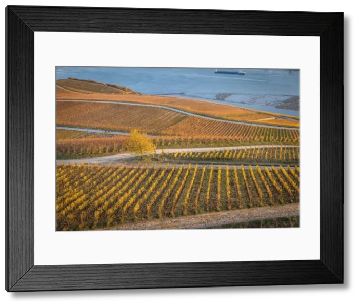 Framed Print : View from the Niederwald viewing terrace on the Rhine, Rudesheim, Rheingau, Hesse, Germany Framed Print : View from the Niederwald viewing terrace on the Rhine, Rudesheim, Rheingau, Hesse, Germany