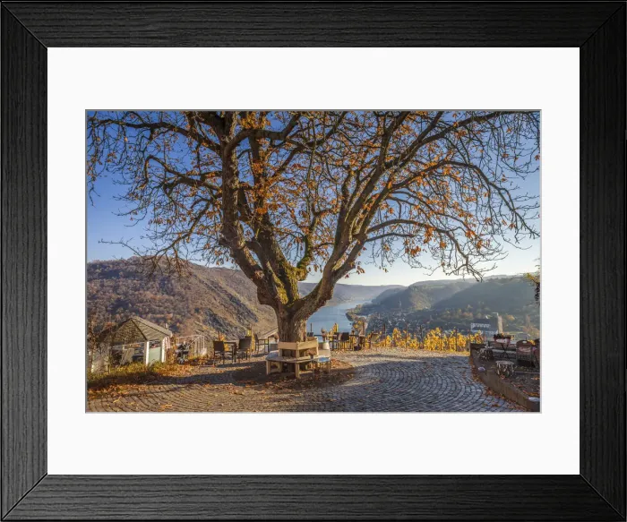 Framed Print : View from Günderodehaus to Oberwesel and the Middle Rhine Valley, Rhineland-Palatinate, Germany Framed Print : View from Günderodehaus to Oberwesel and the Middle Rhine Valley, Rhineland-Palatinate, Germany