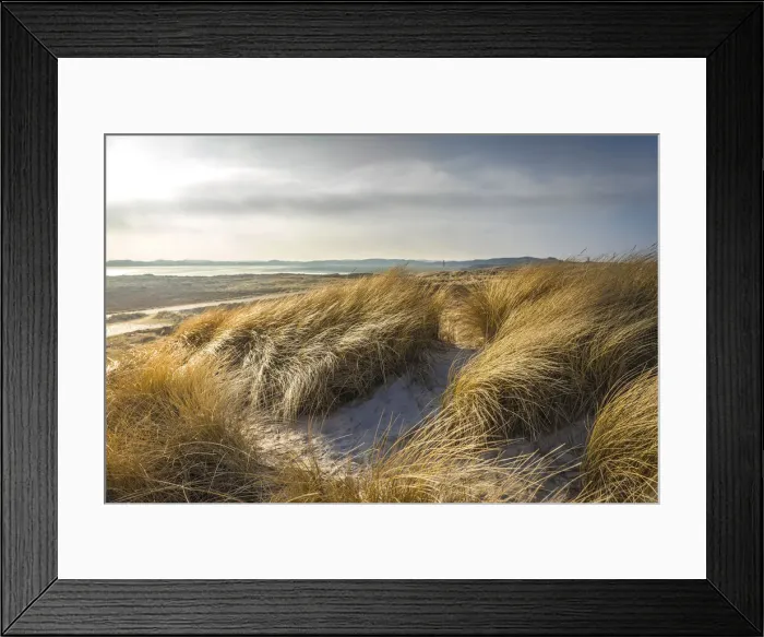 Framed Print : Dune landscape in the Ellenbogen nature reserve near List, Sylt, Schleswig-Holstein, Germany Framed Print : Dune landscape in the Ellenbogen nature reserve near List, Sylt, Schleswig-Holstein, Germany