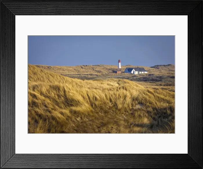 Framed Print : Dune landscape with List-West lighthouse in the Ellenbogen nature reserve, Sylt Framed Print : Dune landscape with List-West lighthouse in the Ellenbogen nature reserve, Sylt
