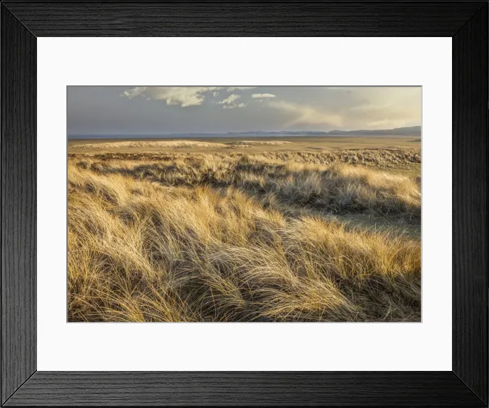 Framed Print : Dune landscape in the Ellenbogen nature reserve near List, Sylt, Schleswig-Holstein Framed Print : Dune landscape in the Ellenbogen nature reserve near List, Sylt, Schleswig-Holstein