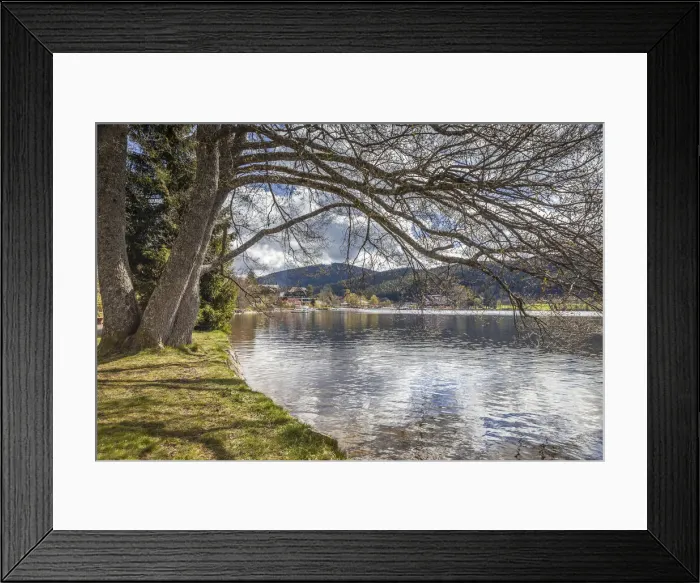 Framed Print : Titsee in early spring, Black Forest, Baden-Württemberg, Germany Framed Print : Titsee in early spring, Black Forest, Baden-Württemberg, Germany