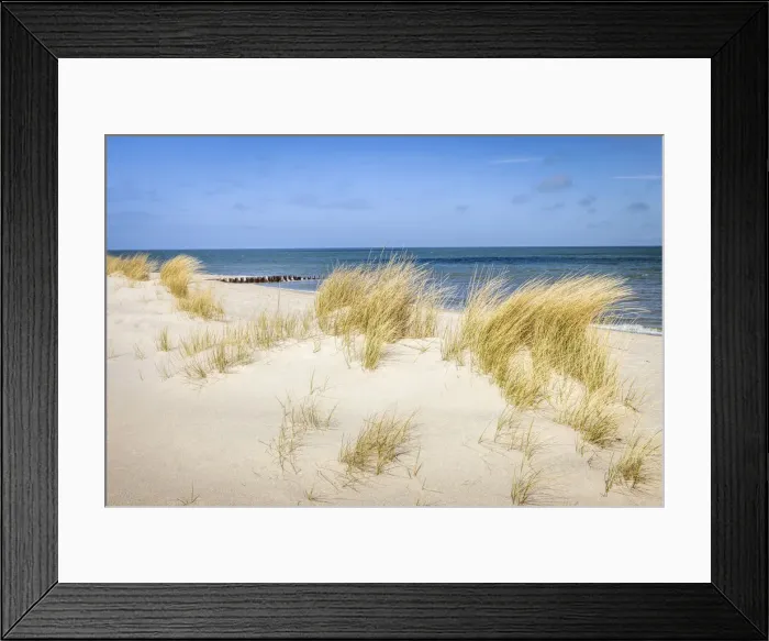 Framed Print : Dune landscape in the Ellenbogen nature reserve near List, Sylt, Schleswig-Holstein Framed Print : Dune landscape in the Ellenbogen nature reserve near List, Sylt, Schleswig-Holstein
