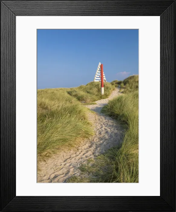 Framed Print : Path in the dunes in the Ellenbogen nature reserve near List, Sylt, Schleswig-Holstein Framed Print : Path in the dunes in the Ellenbogen nature reserve near List, Sylt, Schleswig-Holstein