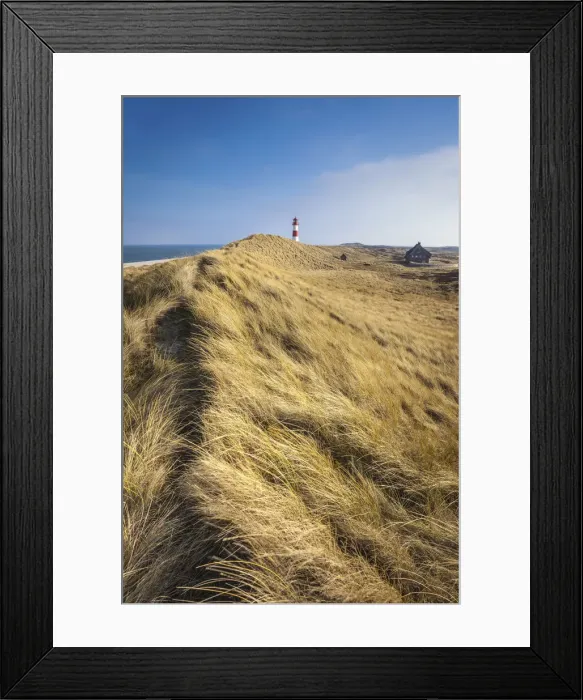 Framed Print : Path on the dune to the List-Ost lighthouse on the Ellenbogen Peninsula, Sylt Framed Print : Path on the dune to the List-Ost lighthouse on the Ellenbogen Peninsula, Sylt
