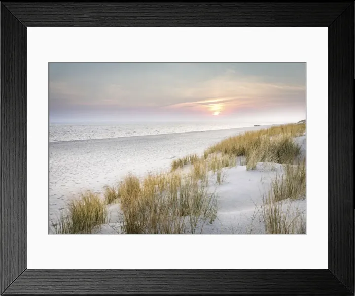 Framed Print : Sunrise in the dunes of the Ellenbogen nature reserve, Sylt, Schleswig-Holstein, Germany Framed Print : Sunrise in the dunes of the Ellenbogen nature reserve, Sylt, Schleswig-Holstein, Germany