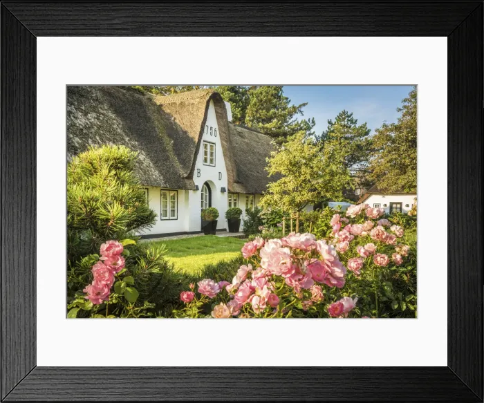 Framed Print : Old thatched captain`s house in Keitum, Sylt, Schleswig-Holstein, Germany Framed Print : Old thatched captain`s house in Keitum, Sylt, Schleswig-Holstein, Germany