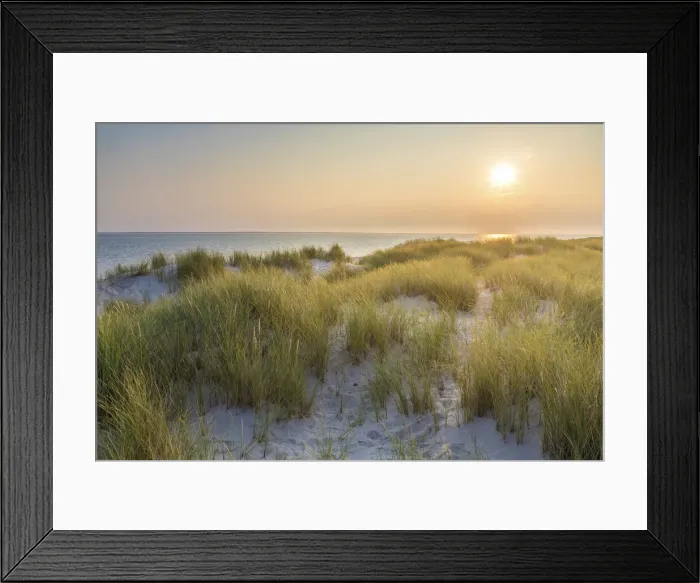 Framed Print : Sunrise in the dunes in the Ellenbogen nature reserve, Sylt, Schleswig-Holstein, Germany Framed Print : Sunrise in the dunes in the Ellenbogen nature reserve, Sylt, Schleswig-Holstein, Germany