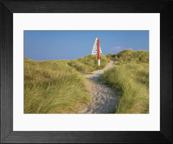 Framed Print : Path to the dune in the Ellenbogen nature reserve, Sylt, Schleswig-Holstein, Germany Framed Print : Path to the dune in the Ellenbogen nature reserve, Sylt, Schleswig-Holstein, Germany