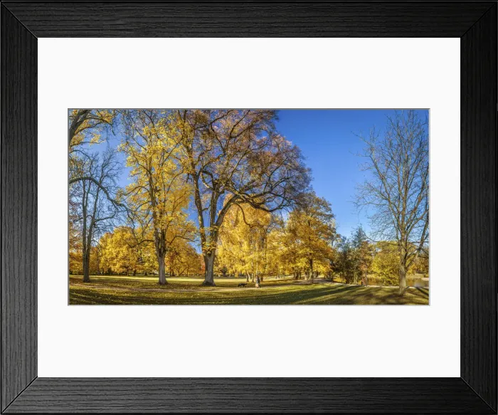Framed Print : Autumn in the spa gardens of Bad Homburg vor der Hohe, Taunus, Hesse, Germany Framed Print : Autumn in the spa gardens of Bad Homburg vor der Hohe, Taunus, Hesse, Germany