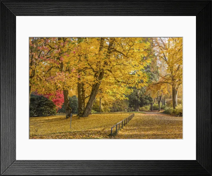 Framed Print : Neropark in autumn, Wiesbaden, Hesse, Germany Framed Print : Neropark in autumn, Wiesbaden, Hesse, Germany