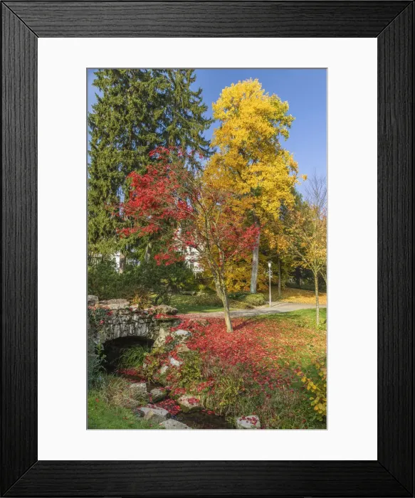 Framed Print : Neropark in autumn, Wiesbaden, Hesse, Germany Framed Print : Neropark in autumn, Wiesbaden, Hesse, Germany