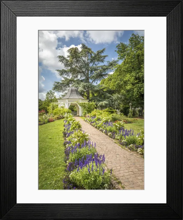 Framed Print : Pavilion in the rose garden of Zweibrucken, Rhineland-Palatinate, Germany Framed Print : Pavilion in the rose garden of Zweibrucken, Rhineland-Palatinate, Germany