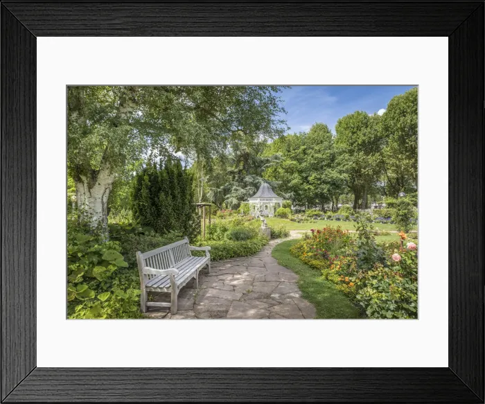 Framed Print : Path through the rose garden of Zweibrucken, Rhineland-Palatinate, Germany