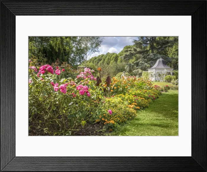 Framed Print : Roses and perennials in the rose garden of Zweibrücken, Rhineland-Palatinate, Germany Framed Print : Roses and perennials in the rose garden of Zweibrücken, Rhineland-Palatinate, Germany