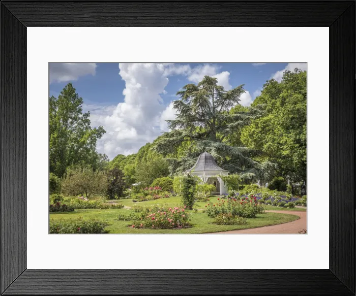 Framed Print : Rose Garden of Zweibrücken, Rhineland-Palatinate, Germany Framed Print : Rose Garden of Zweibrücken, Rhineland-Palatinate, Germany