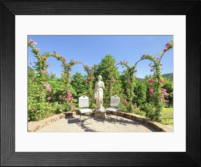 Framed Print : The Rosenneuheitengarten, Beutig, Baden-Baden, Black Forest, Baden-Wurttemberg, Germany