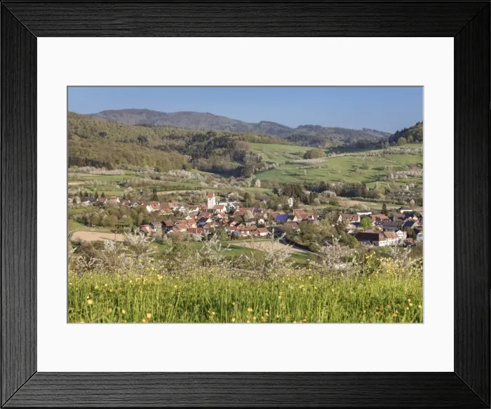 Framed Print : Blooming cherry trees, Obereggenen, Markgrafler Land, Black Forest, Baden-Wurttemberg, Germany Framed Print : Blooming cherry trees, Obereggenen, Markgrafler Land, Black Forest, Baden-Wurttemberg, Germany