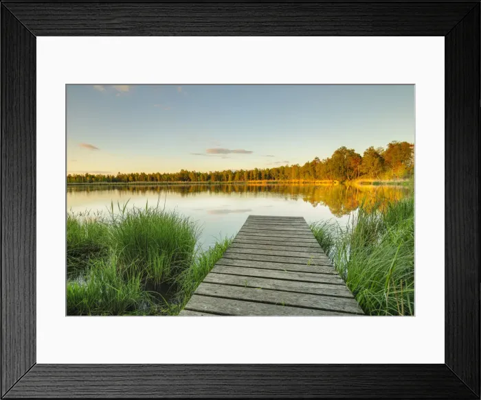 Framed Print : Riedsee lake at sunset, Moorland in Wurzacher Ried, Bad Wurzach, Upper Swabia, Baden-Wurttemberg, Germany Framed Print : Riedsee lake at sunset, Moorland in Wurzacher Ried, Bad Wurzach, Upper Swabia, Baden-Wurttemberg, Germany