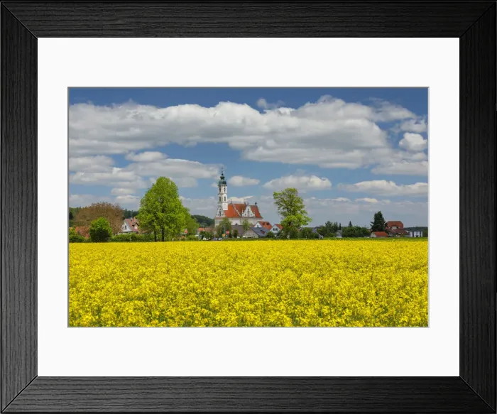 Framed Print : Pilgrimage church of Steinhausen, Upper Swabian Baroque Road, Upper Swabia, Baden-Wurttemberg, Germany Framed Print : Pilgrimage church of Steinhausen, Upper Swabian Baroque Road, Upper Swabia, Baden-Wurttemberg, Germany