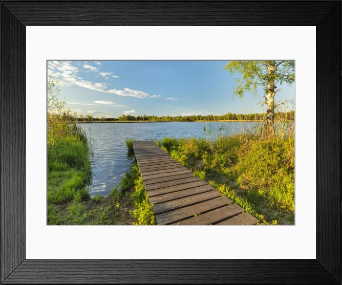 Framed Print : Moorland in Wurzacher Ried, Bad Wurzach, Upper Swabia, Baden-Wurttemberg, Germany Framed Print : Moorland in Wurzacher Ried, Bad Wurzach, Upper Swabia, Baden-Wurttemberg, Germany