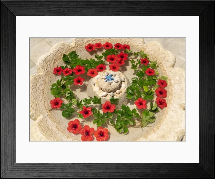 Framed Print : Red Hibiscus Flowers in Water Font, Rhodes, Greece Framed Print : Red Hibiscus Flowers in Water Font, Rhodes, Greece