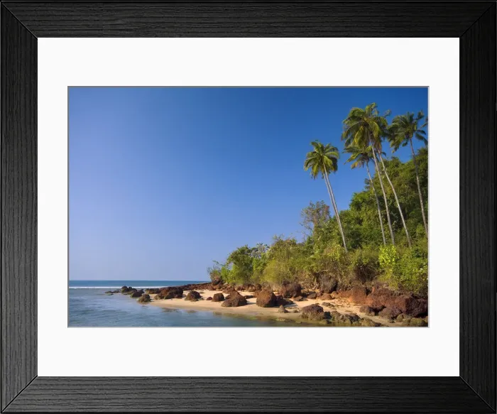 Framed Print : Palm Trees, Goa, India, Asia Framed Print : Palm Trees, Goa, India, Asia