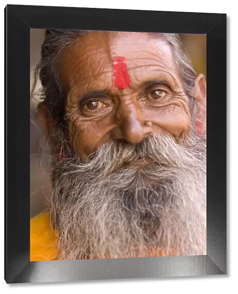 Portrait of Man, Udaipur, Rajasthan, India, Asia