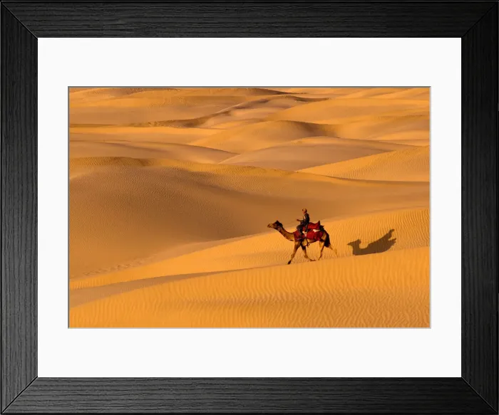 Framed Print : Sam Sand Dunes, Rajasthan, India, Asia Framed Print : Sam Sand Dunes, Rajasthan, India, Asia