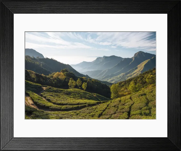 Framed Print : Dawn light from Top Station, Kerala, India Framed Print : Dawn light from Top Station, Kerala, India
