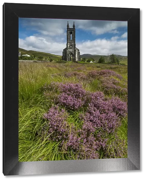 Dunlewey Church & Heather in Poisioned Glen, Dunlewy, County Donegal, Ireland