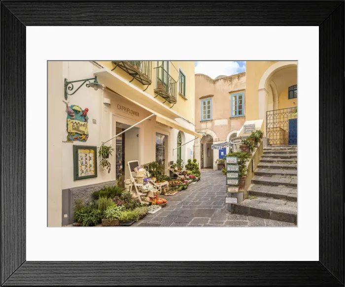 Framed Print : Flower shop in the old town of Capri, Capri, Gulf of Naples, Campania, Italy Framed Print : Flower shop in the old town of Capri, Capri, Gulf of Naples, Campania, Italy