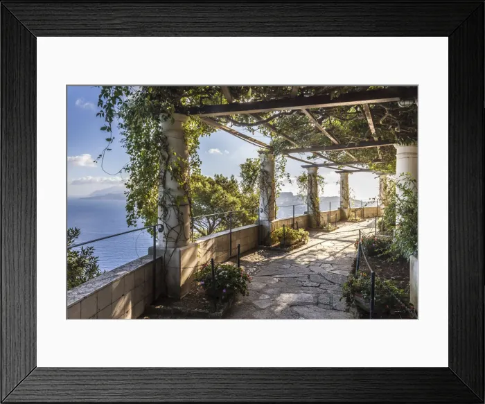 Framed Print : In the garden of Villa San Michele, Anacapri, Capri, Gulf of Naples, Campania, Italy Framed Print : In the garden of Villa San Michele, Anacapri, Capri, Gulf of Naples, Campania, Italy