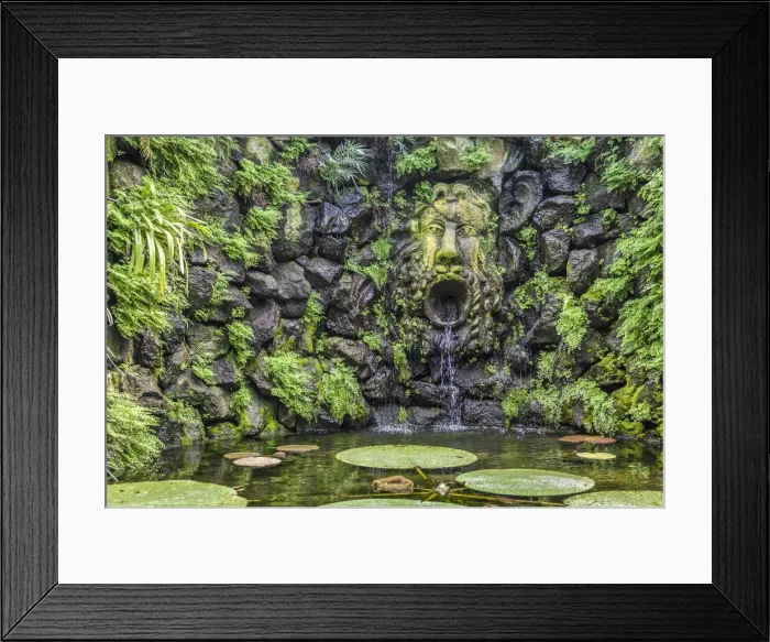 Framed Print : Fountain in the orchid grotto in La Mortella garden in Forio, Ischia island Framed Print : Fountain in the orchid grotto in La Mortella garden in Forio, Ischia island