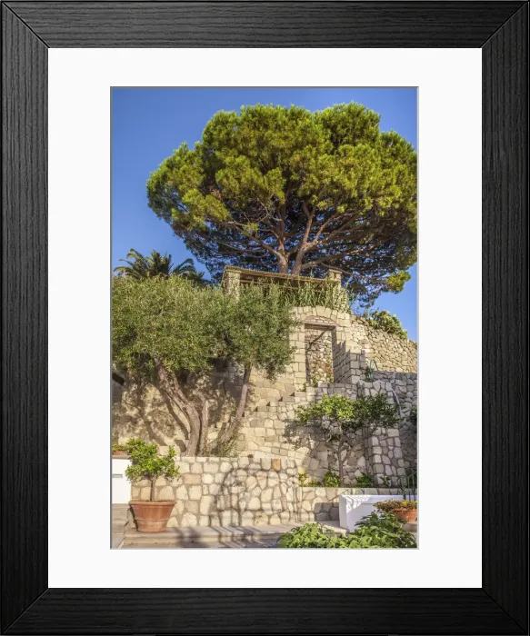 Framed Print : Park in Forio, Ischia Island, Gulf of Naples, Campania, Italy