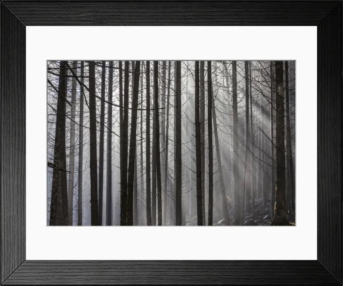 Framed Print : Cloud forest near the Reinfalle waterfalls in Reintal, South Tyrol, Italy