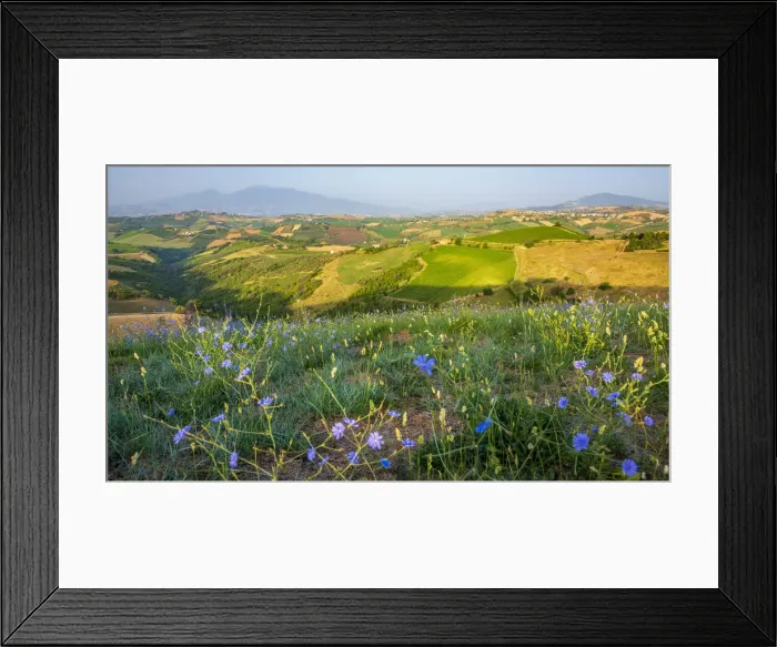 Framed Print : europe, Italy, the Marches. Offida, the view over the hills of the rural area in Framed Print : europe, Italy, the Marches. Offida, the view over the hills of the rural area in