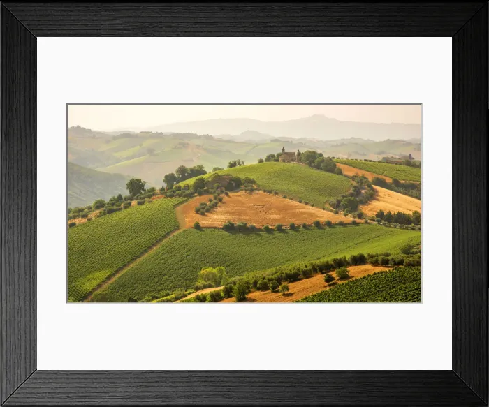 Framed Print : europe, Italy, the Marches. Offida, the view over the hills of the rural area in Framed Print : europe, Italy, the Marches. Offida, the view over the hills of the rural area in