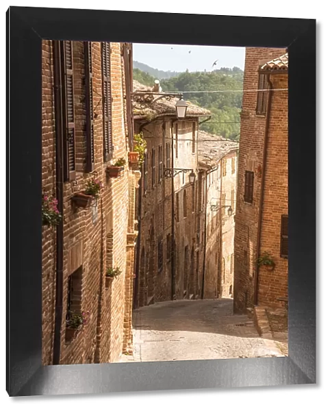 europe, Italy, the Marches. One of the typical narrow streets of the village of Sarnano