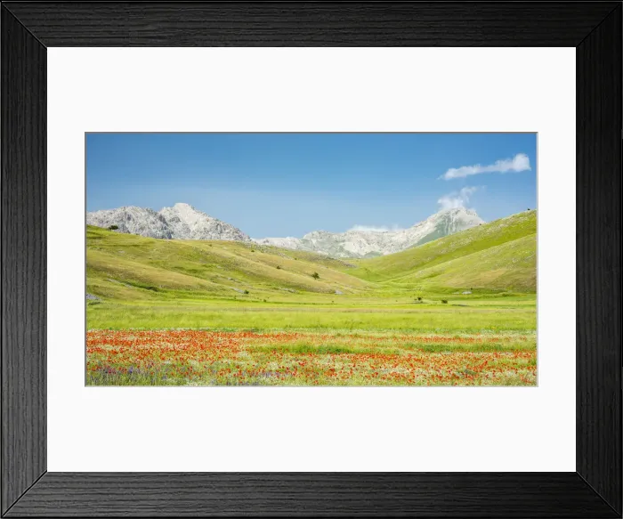 Framed Print : europe, Italy, the Abruzzi. A meadow with wildflowers in the National Park of Gran Sasso Framed Print : europe, Italy, the Abruzzi. A meadow with wildflowers in the National Park of Gran Sasso