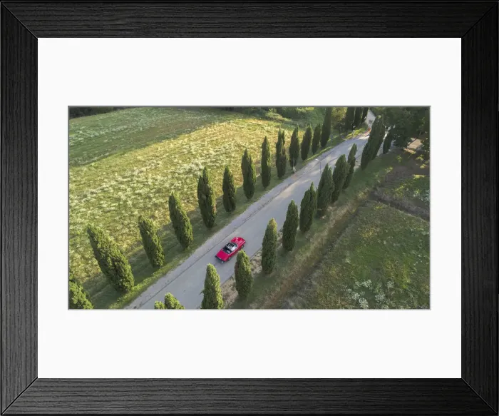 Framed Print : A car driving through a cypress lined road, Tuacany, Italy Framed Print : A car driving through a cypress lined road, Tuacany, Italy