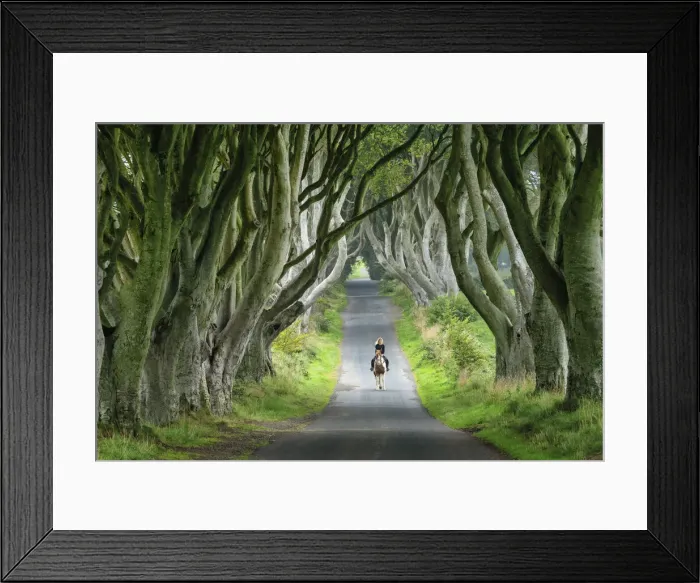 Framed Print : Woman Riding Horse along Dark Hedges Road, County, Antrim Framed Print : Woman Riding Horse along Dark Hedges Road, County, Antrim