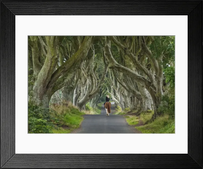 Framed Print : Woman on Horse along Dark Hedges Road, County, Antrim, Northern Ireland