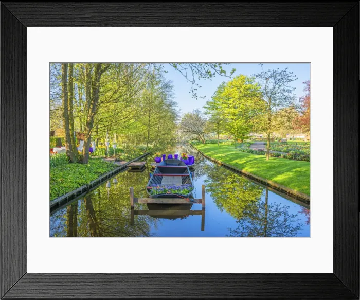 Framed Print : Flowers at Keukenhof near Lisse, South Holland, The Netherlands