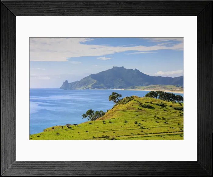 Framed Print : Kauri Mountain, Whangarei Heads, Whangarei, Northland, North Island, New Zealand Framed Print : Kauri Mountain, Whangarei Heads, Whangarei, Northland, North Island, New Zealand