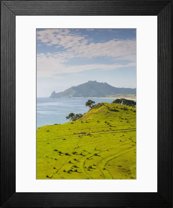 Framed Print : Kauri Mountain, Whangarei Heads, Whangarei, Northland, North Island, New Zealand