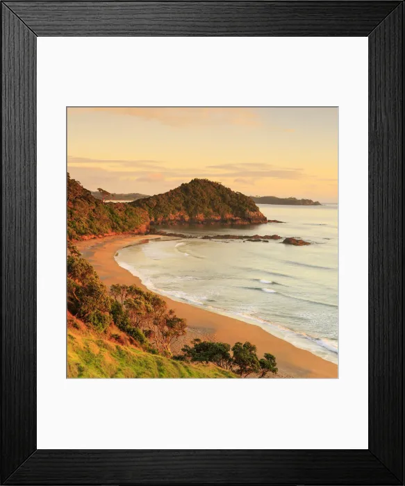 Framed Print : Daisy Bay, Tutukaka, Northland, North Island, New Zealand Framed Print : Daisy Bay, Tutukaka, Northland, North Island, New Zealand